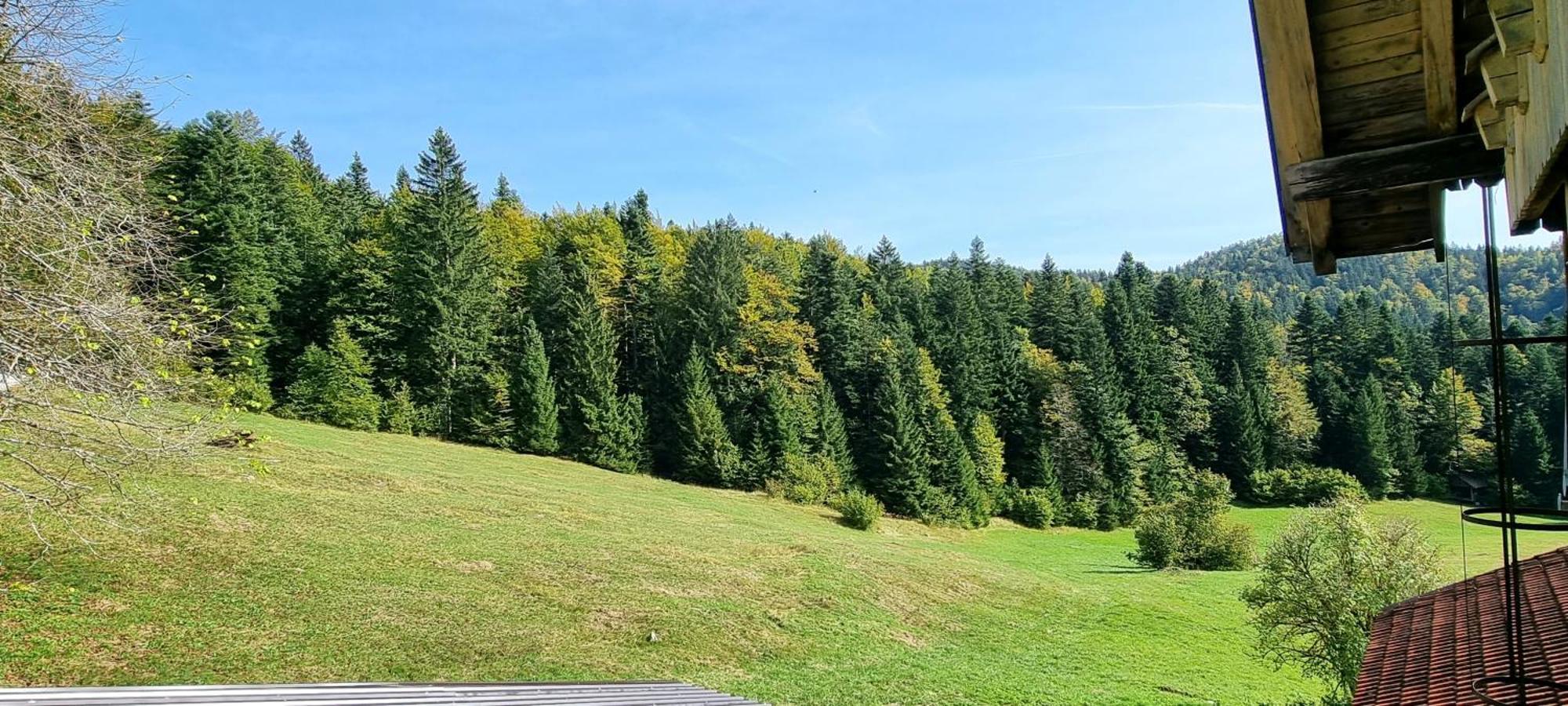 Planinski Dom Na Travni Gori Sodrazica Zewnętrze zdjęcie