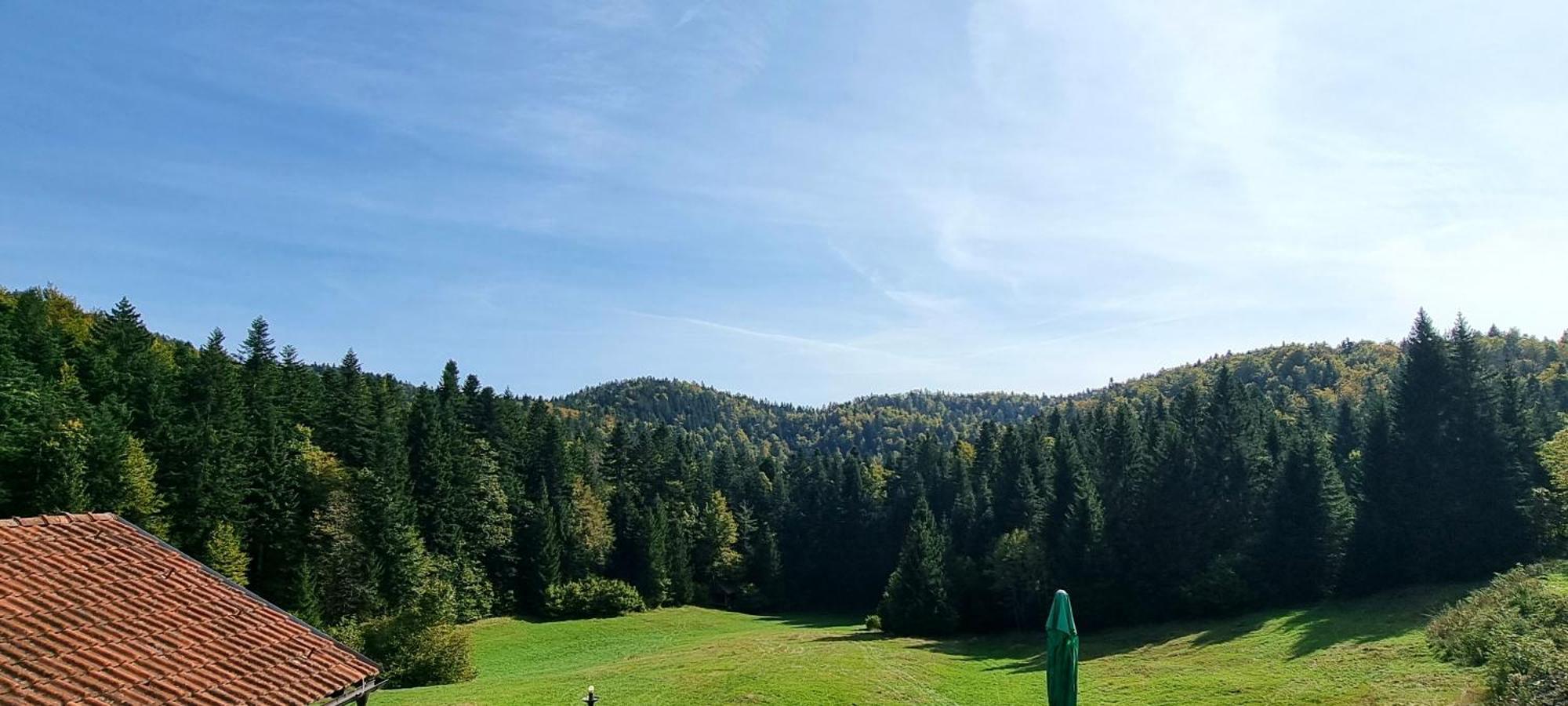 Planinski Dom Na Travni Gori Sodrazica Zewnętrze zdjęcie